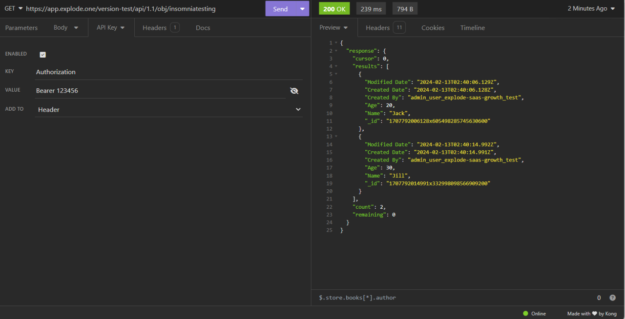 A Beginners Guide to Using Insomnia API